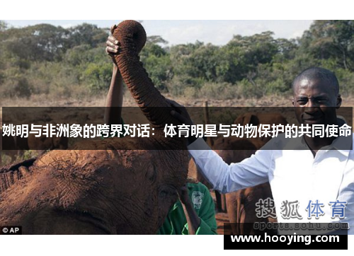 姚明与非洲象的跨界对话：体育明星与动物保护的共同使命