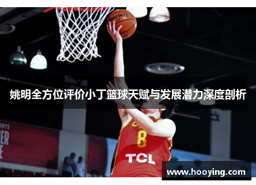 姚明全方位评价小丁篮球天赋与发展潜力深度剖析
