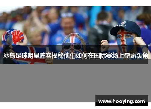 冰岛足球明星阵容揭秘他们如何在国际赛场上崭露头角