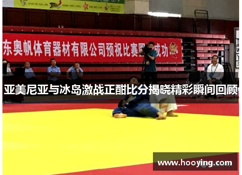 亚美尼亚与冰岛激战正酣比分揭晓精彩瞬间回顾